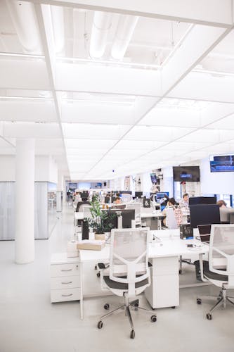 pexels-polina-zimmerman-3778619